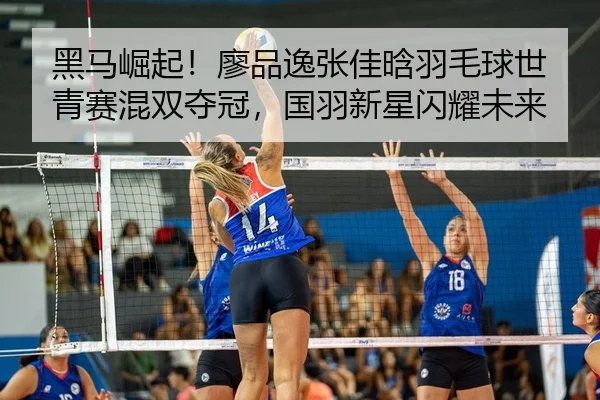 hei-ma-jue-qi-liao-pin-yi-zhang-jia-han-yu-mao-qiu-shi-qing-sai-hun-shuang-duo-guan-guo-yu-xin-xing-shan-yao-wei-lai-2-866.jpg